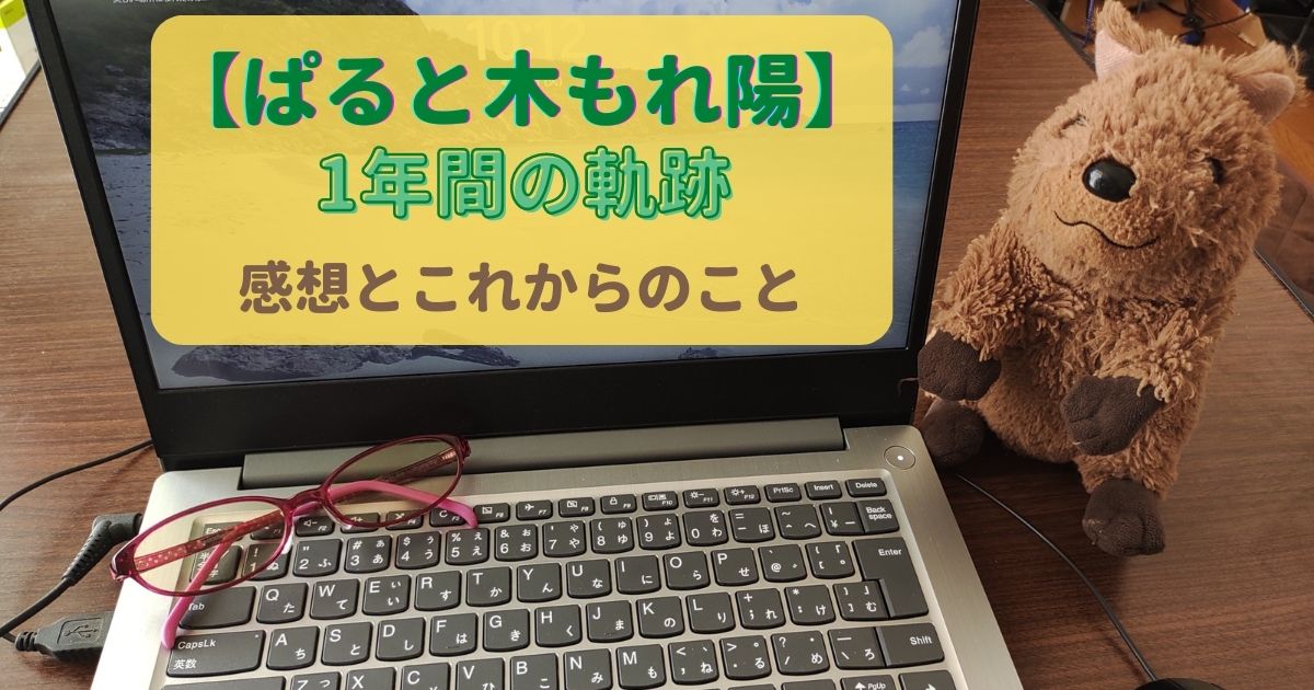 ブログ「ぱると木もれ陽」1年間の軌跡【感想とこれからのこと】