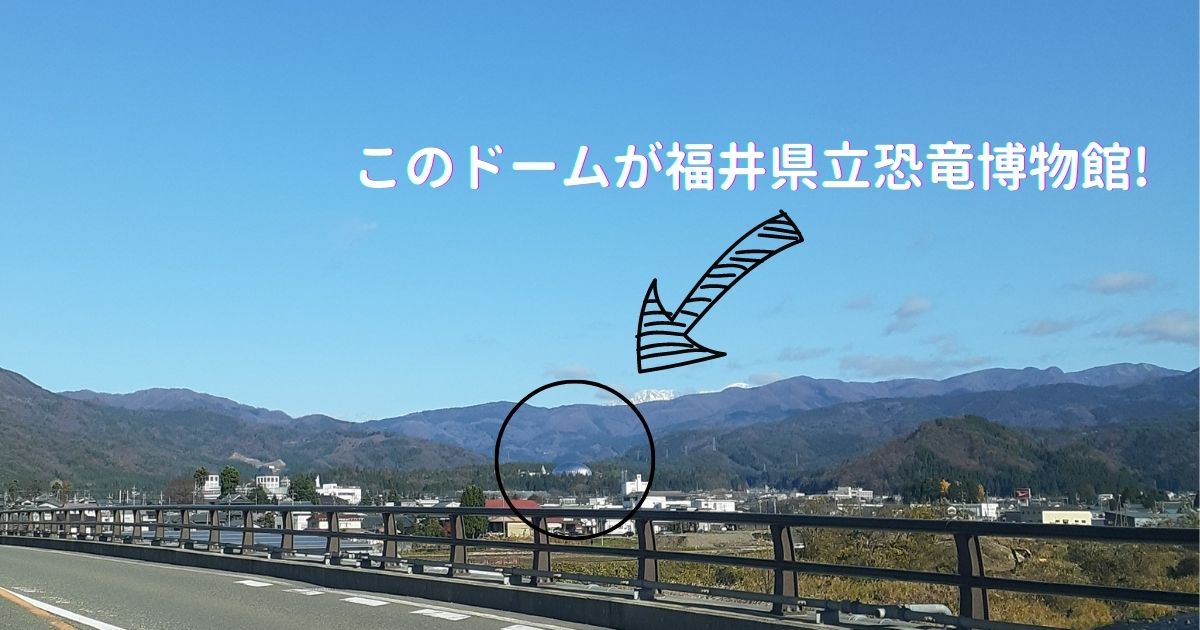 【旅行記】恐竜好きの子どものために福井県立恐竜博物館に行ってきた話